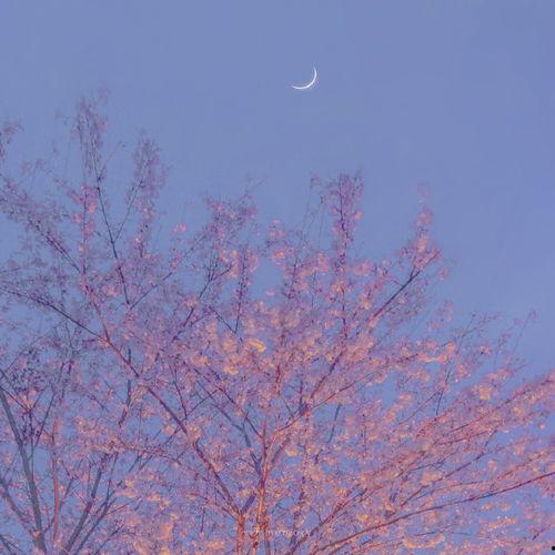 背景余
