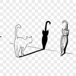 影子的照片,揭秘照片中的影子奥秘