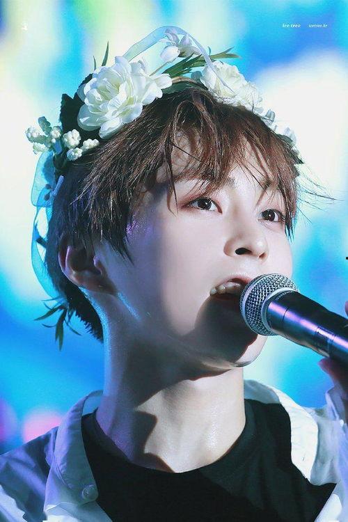 珉锡照片,光影中的青春印记